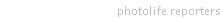 photolife reporters