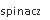 spinacz